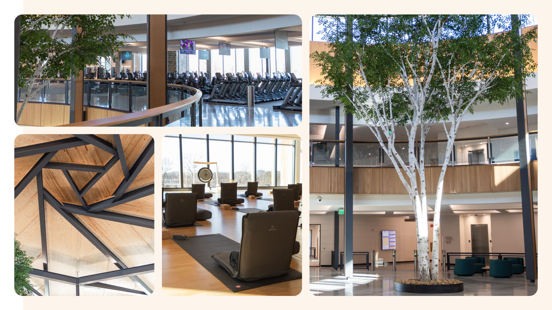 No description found in asset