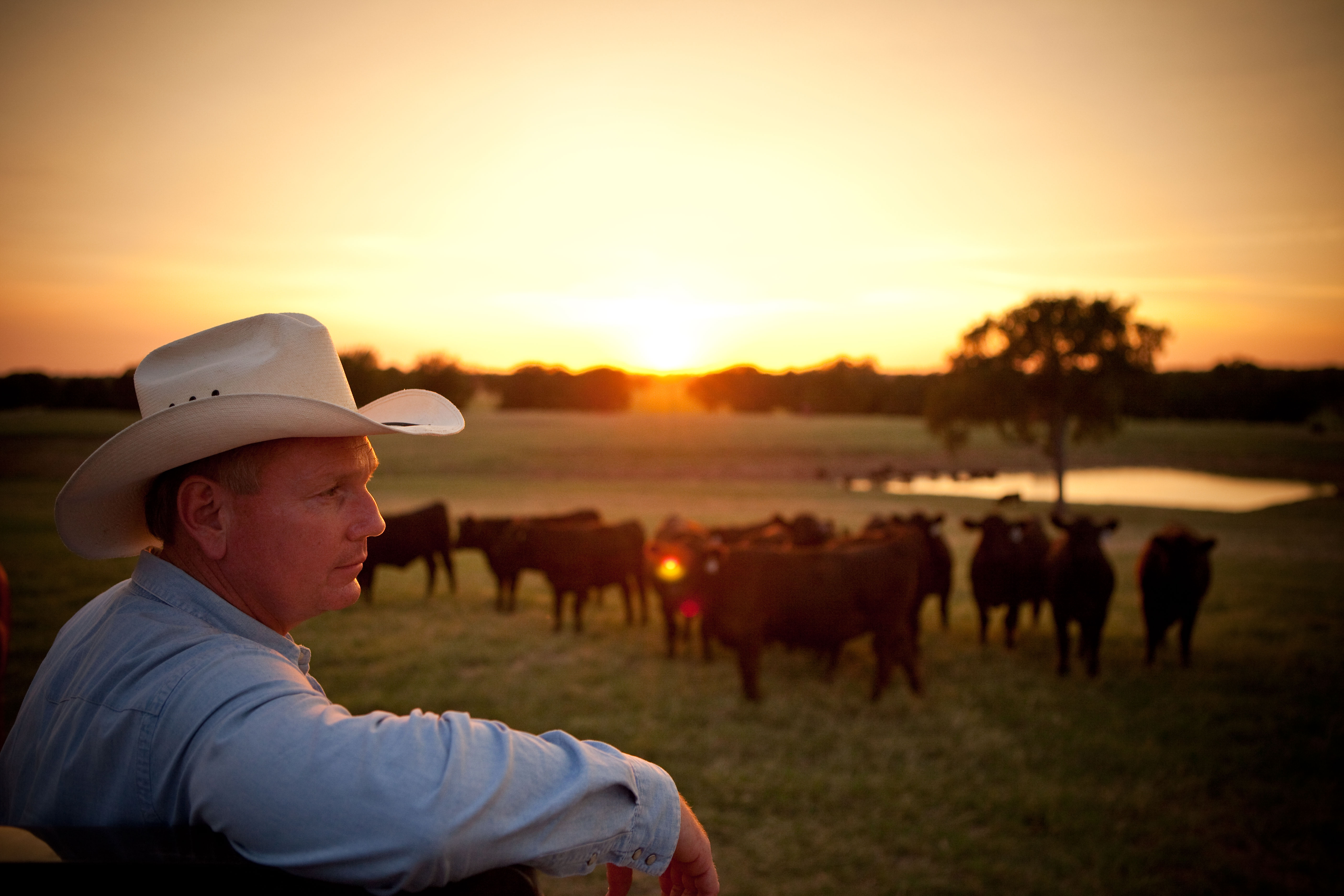 Texas rancher Bob McClaren leaning on fence with setting sun in background