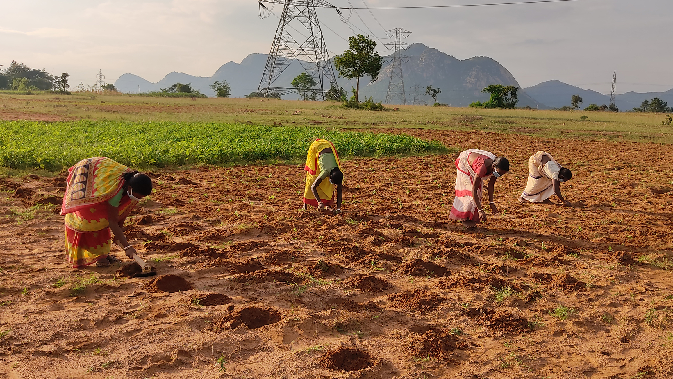 India Farm Grant Lead Image