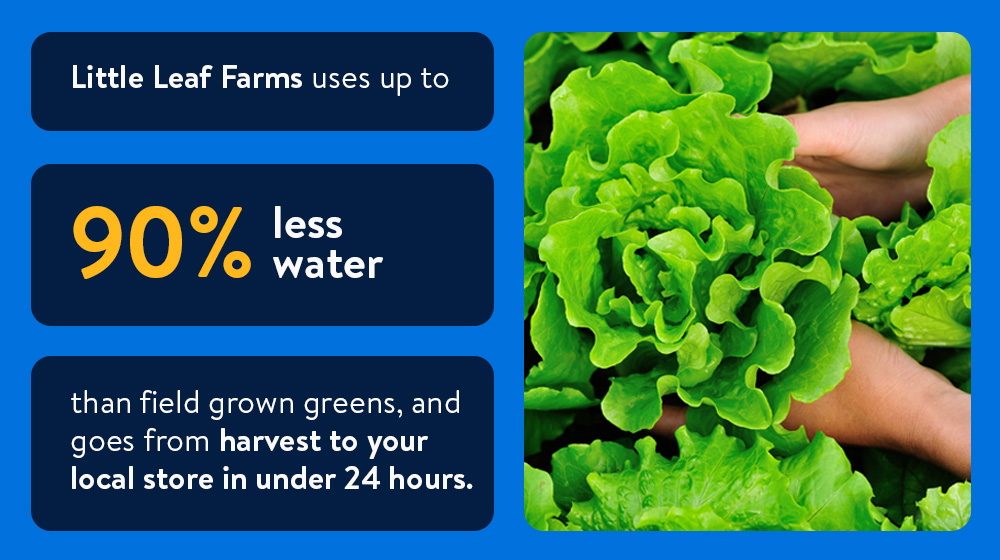 Image of hands holding leafy lettuce and text that reads, "Little Leaf Farms uses 90% less water than field grown greens, and goes from harvest to your local store in under 24 hours."